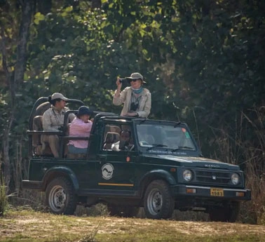 Safari camera and clothing tips