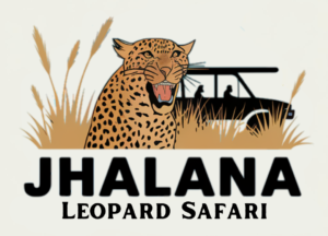 jhalana leopard safari